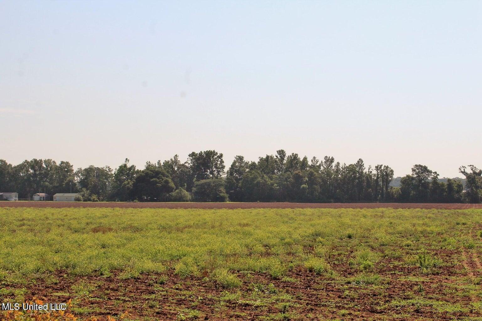 10-ac Parker Road Lucedale, MS 39452 - Photo 1 of 9 20231107001835893604000000-o