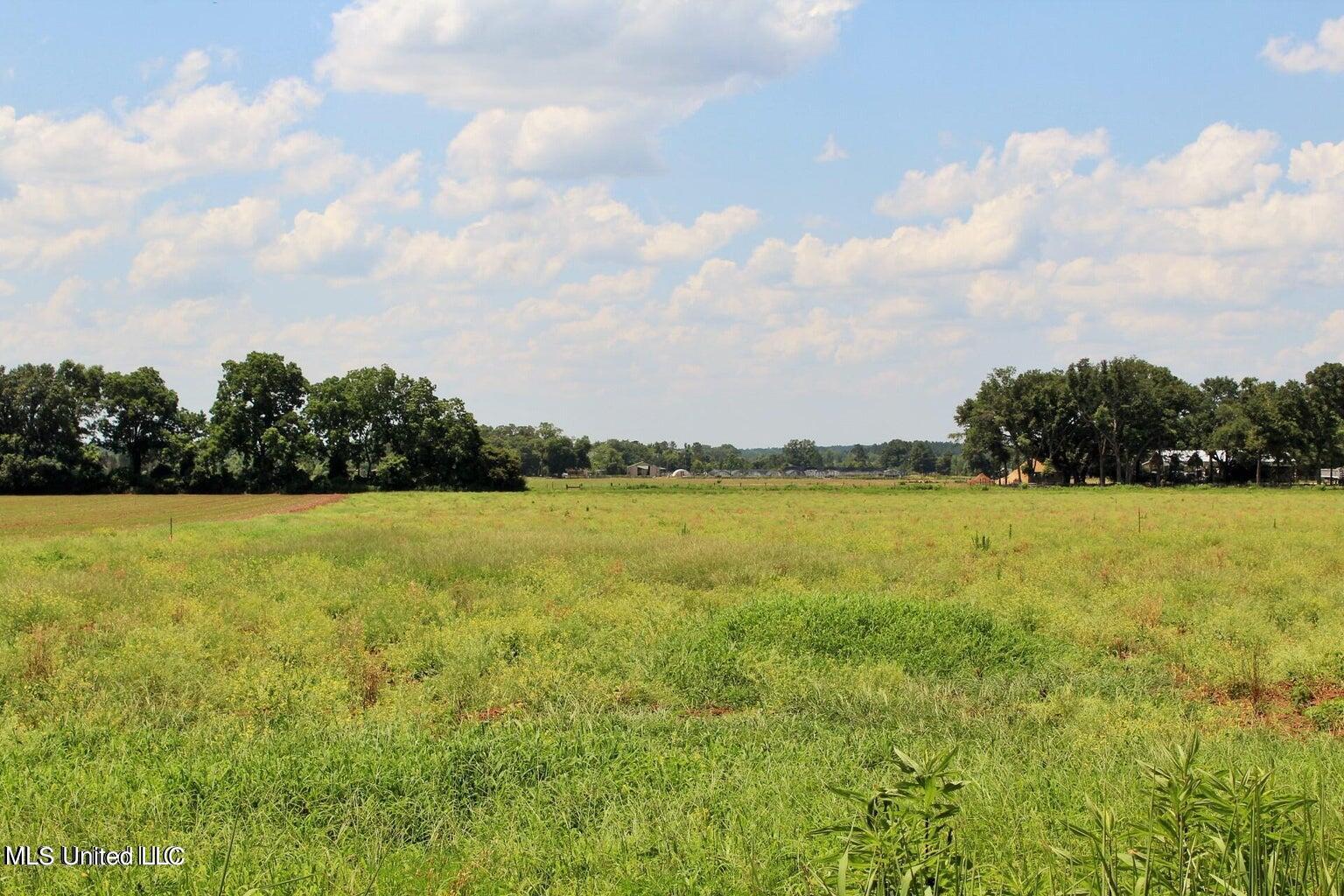 10-ac Parker Road Lucedale, MS 39452 - Photo 3 of 9 20231107001416920836000000-o