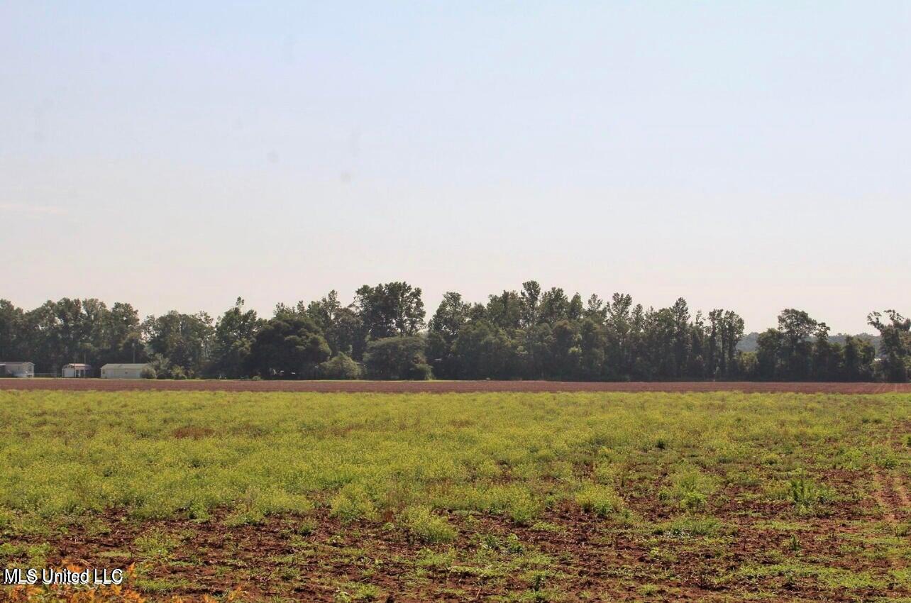 10-ac Parker Road Lucedale, MS 39452 - Photo 4 of 9 20231107001417665641000000-o