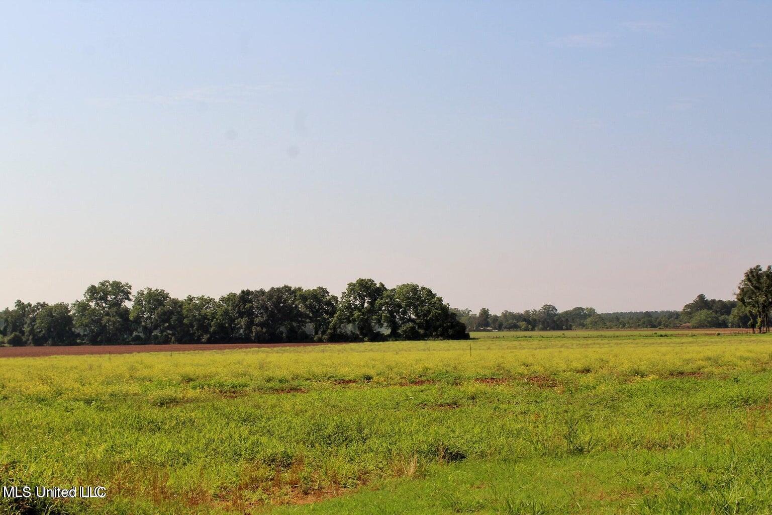 10-ac Parker Road Lucedale, MS 39452 - Photo 5 of 9 20231107001833353755000000-o