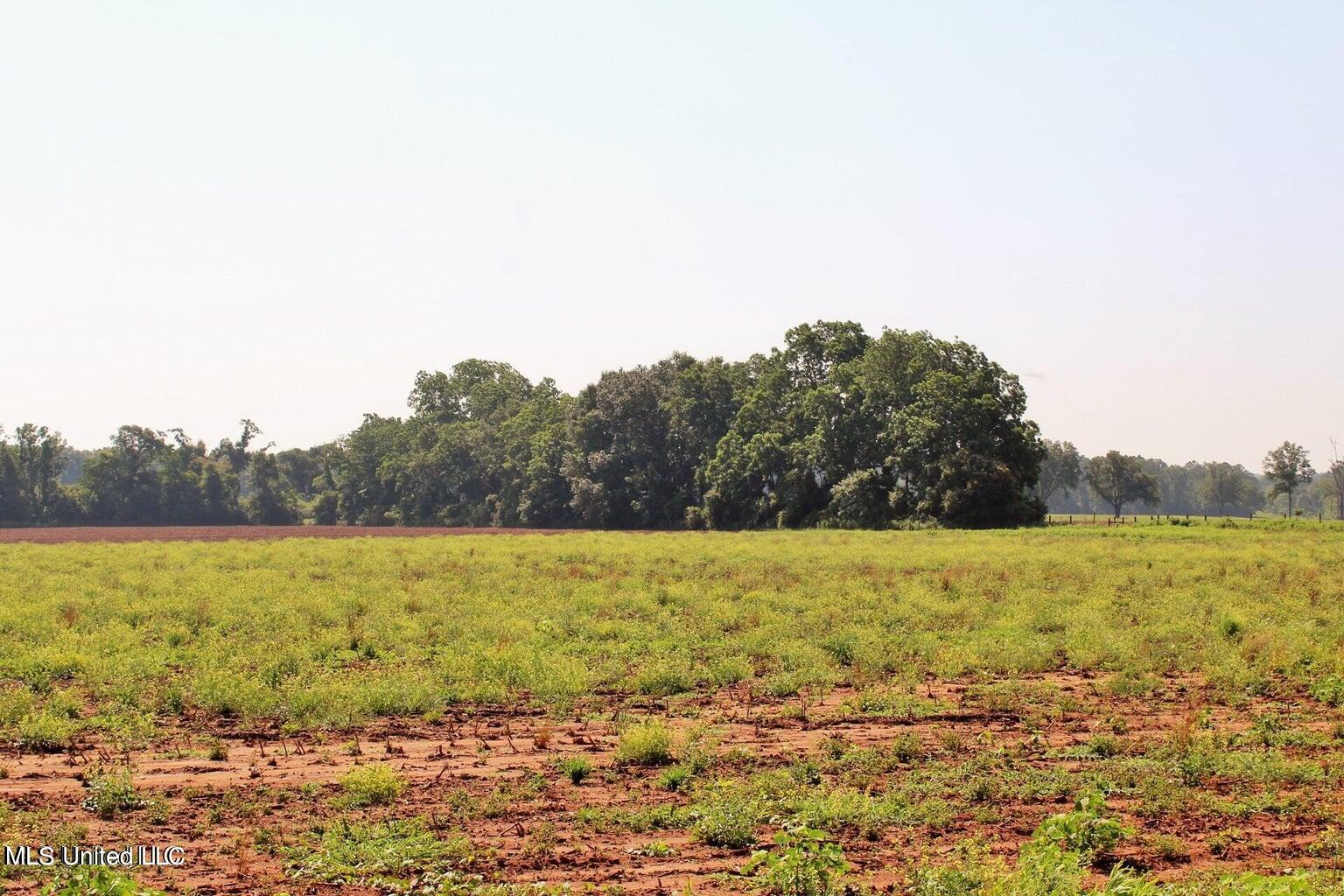 10-ac Parker Road Lucedale, MS 39452 - Photo 6 of 9 20231107001833803682000000-o