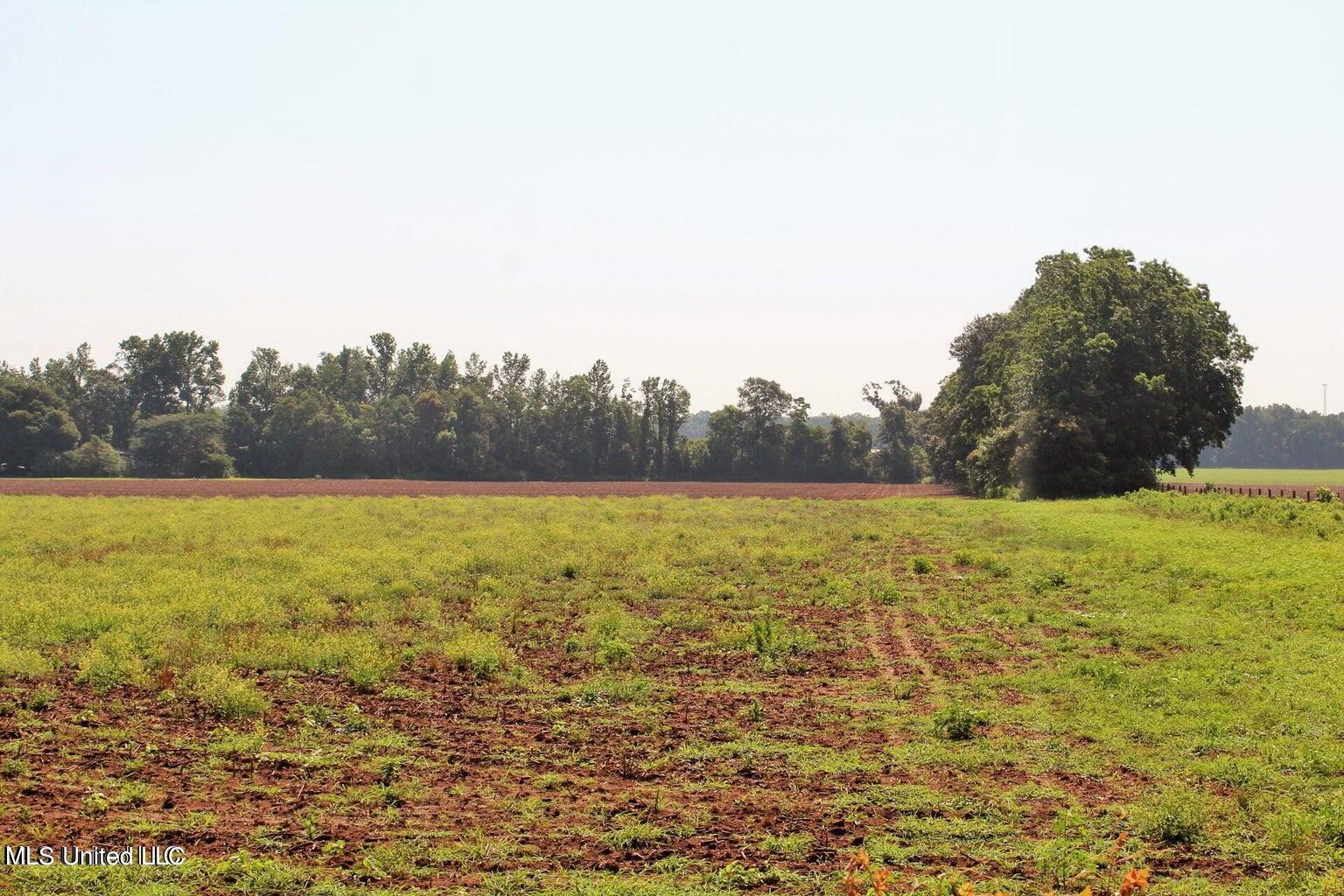 10-ac Parker Road Lucedale, MS 39452 - Photo 8 of 9 20231107001835172270000000-o