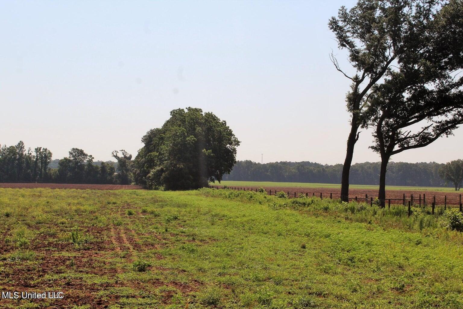 10-ac Parker Road Lucedale, MS 39452 - Photo 9 of 9 20231107001835539349000000-o