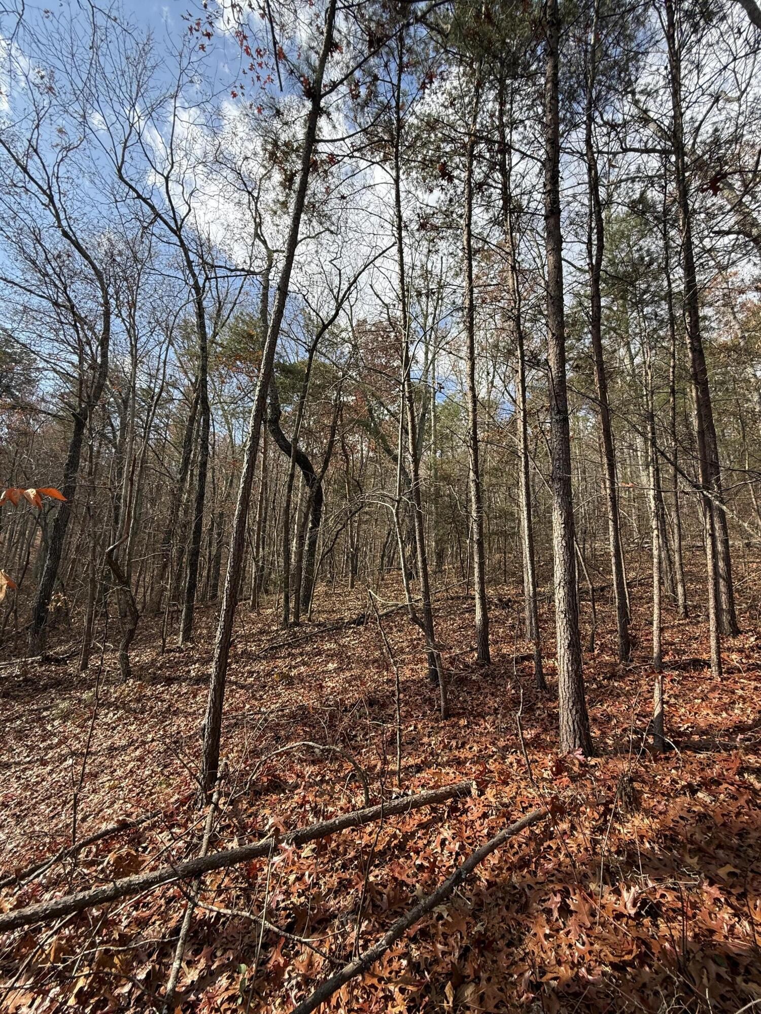1 Parksville Road Benton, TN 37307 - Photo 10 of 16
