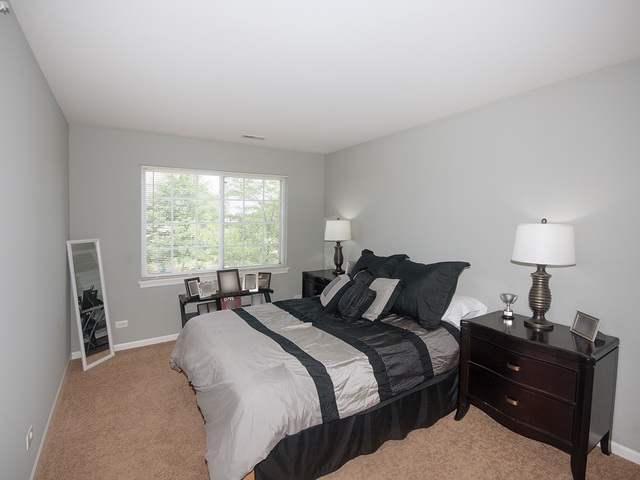 3435 Helene Rieder Drive Montgomery, IL 60538 - Photo 23 of 33