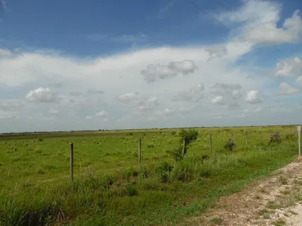 $119,850 | Tract A Helms Road, Lake Charles, LA 70607