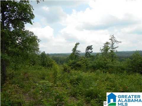 Virginia Street Oneonta, AL 35121 - Photo 1 of 3