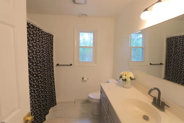 a bathroom with a sink a toilet and mirror