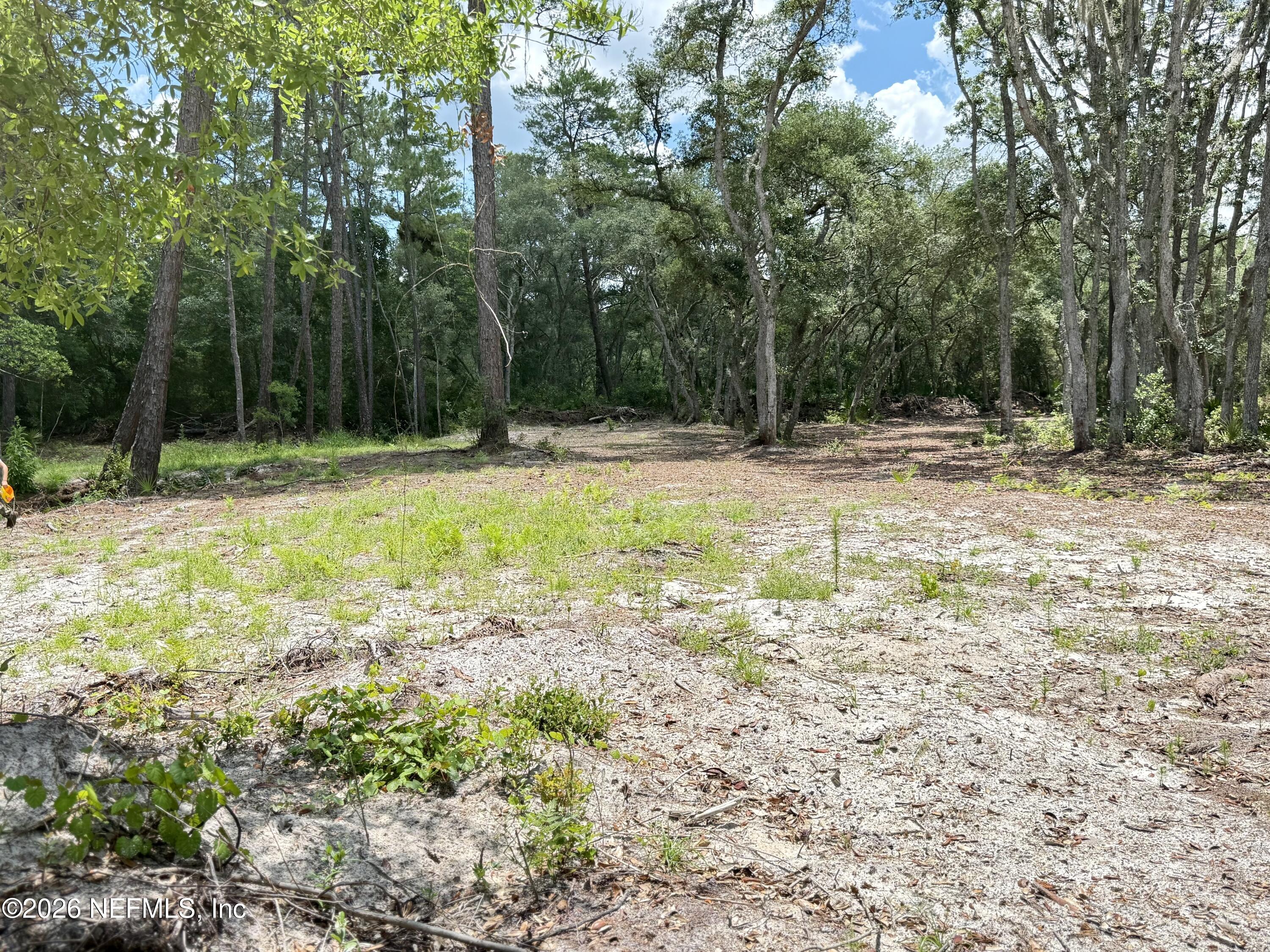 438 Chamberlain Road Satsuma, FL 32189 - Photo 20 of 21 IMG_2992