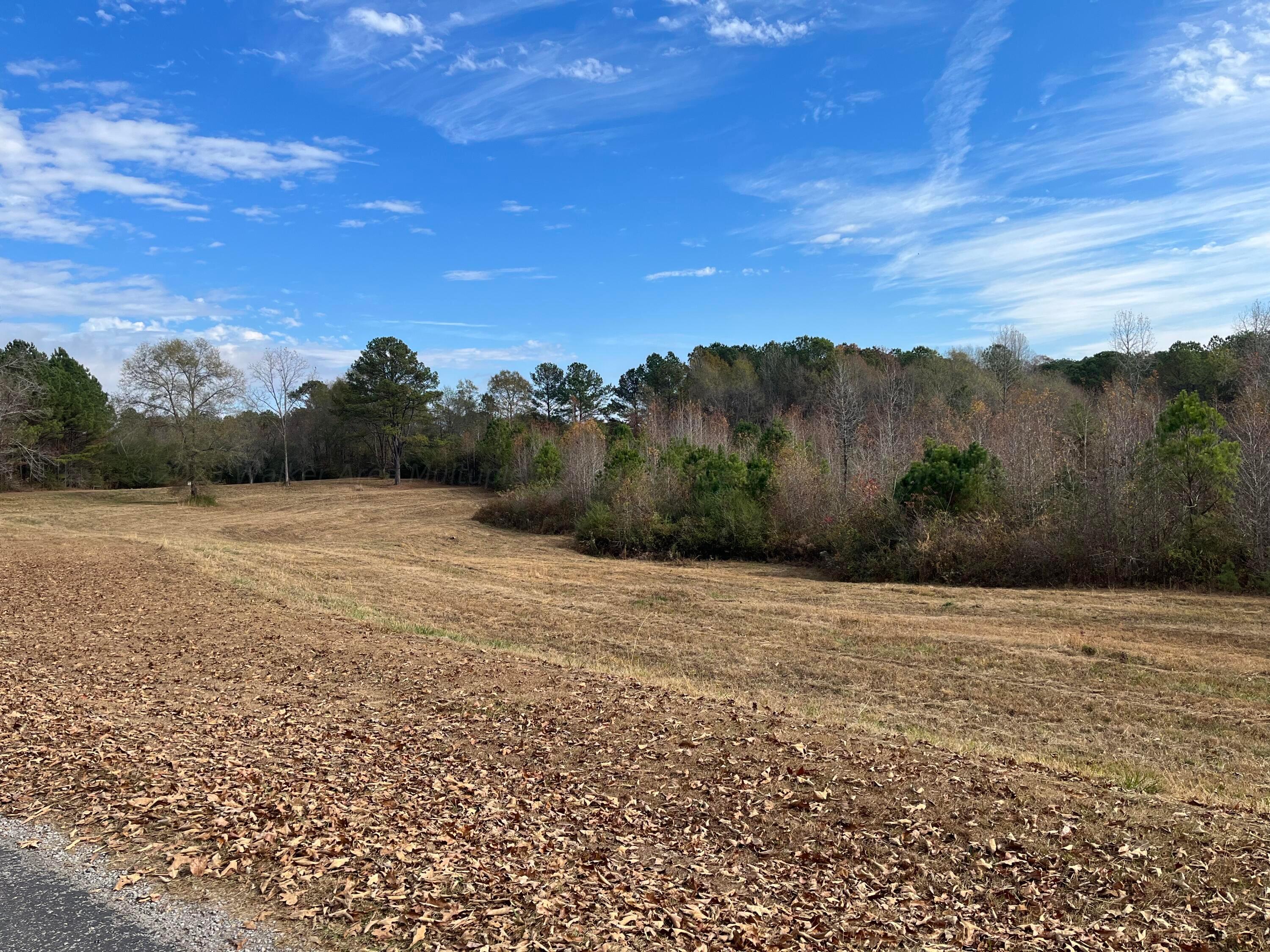 468 Chism Loop Jasper, AL 35503 - Photo 1 of 20 Gallery Image 1