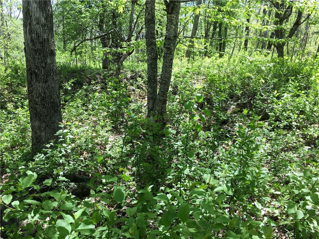 Lot 13 Richardson Road Orrington, ME 04474 - Photo 21 of 33 Flat, elevated area.