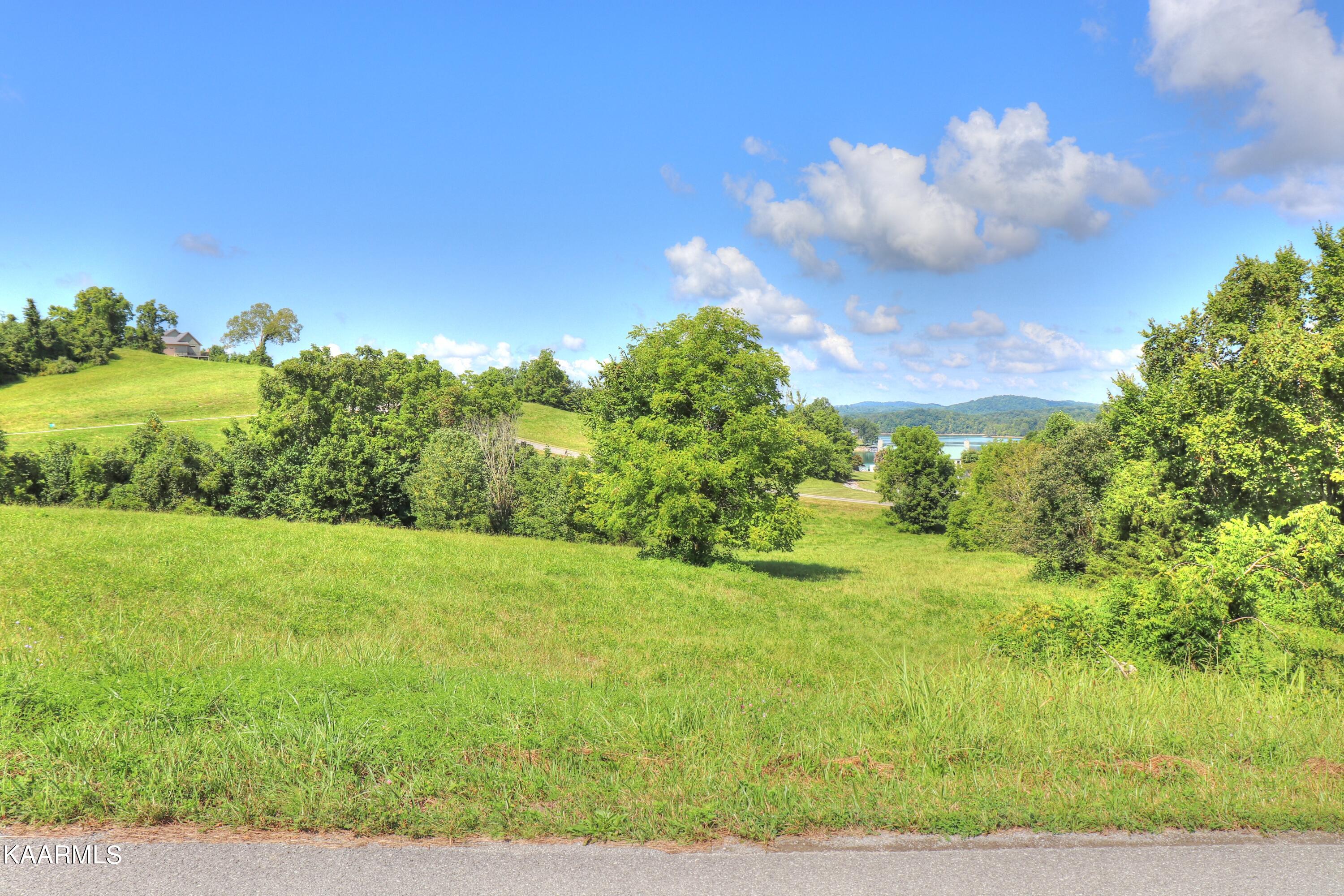Lot 414 Russell Brothers Road Sharps Chapel, TN 37866 - Photo 6 of 33 Street side