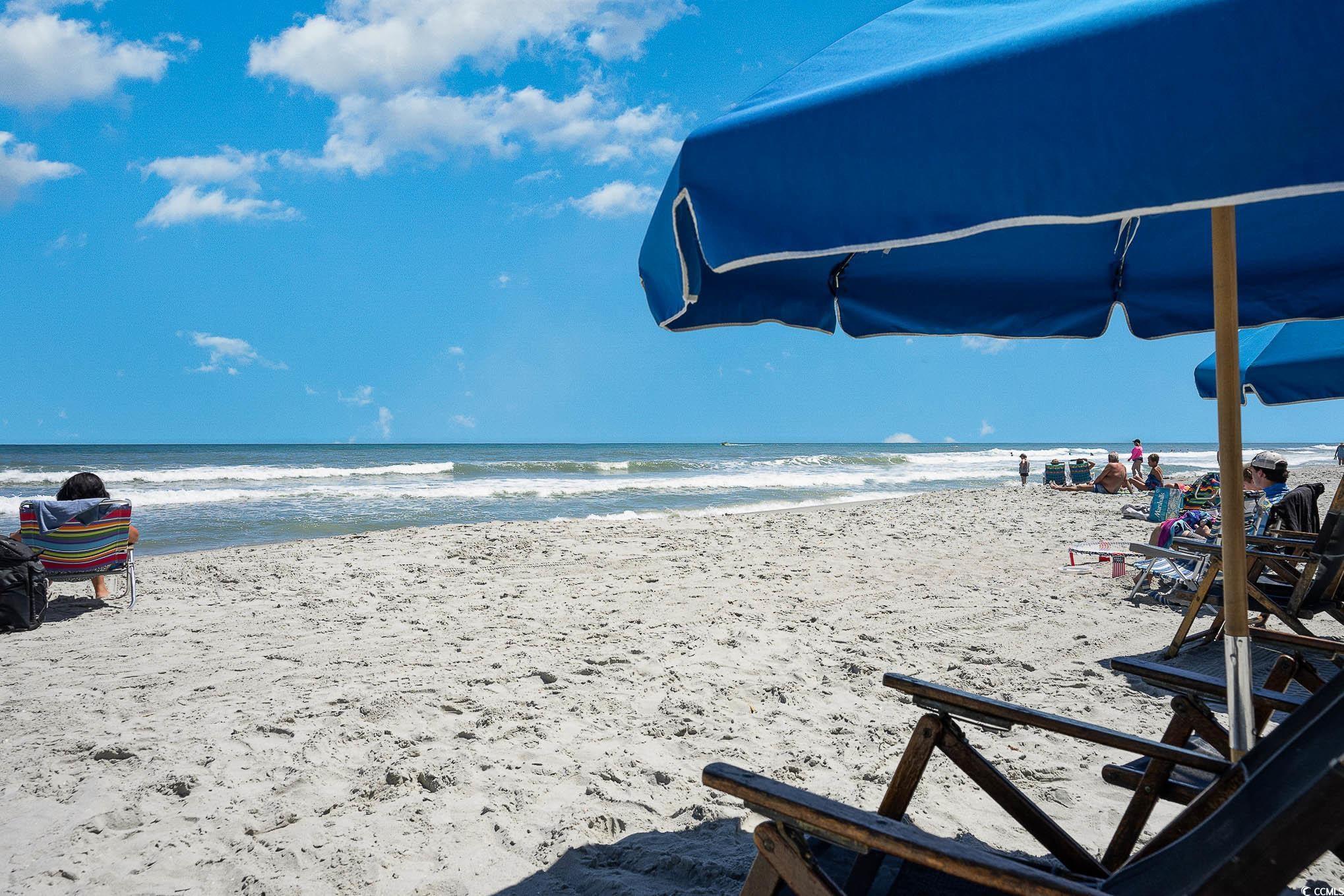 2145 Lark Surfside Beach, SC 29575 - Photo 35 of 38