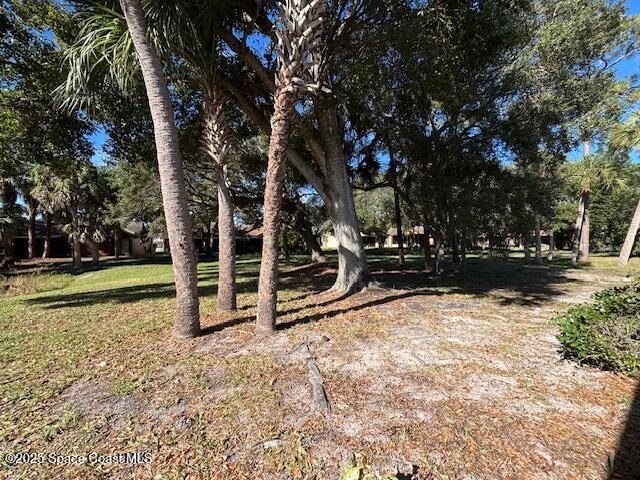 1353 Nelson Court Rockledge, FL 32955 - Photo 7 of 13 4