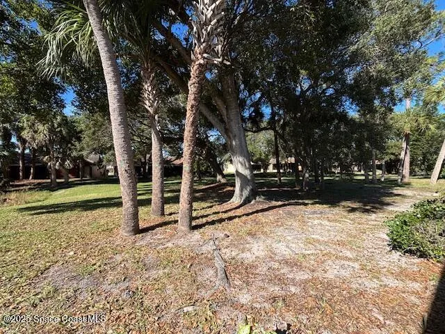 a view of a park with large trees