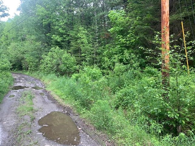 Tbd Griffin Road Stewartstown, NH 03576 - Photo 5 of 5