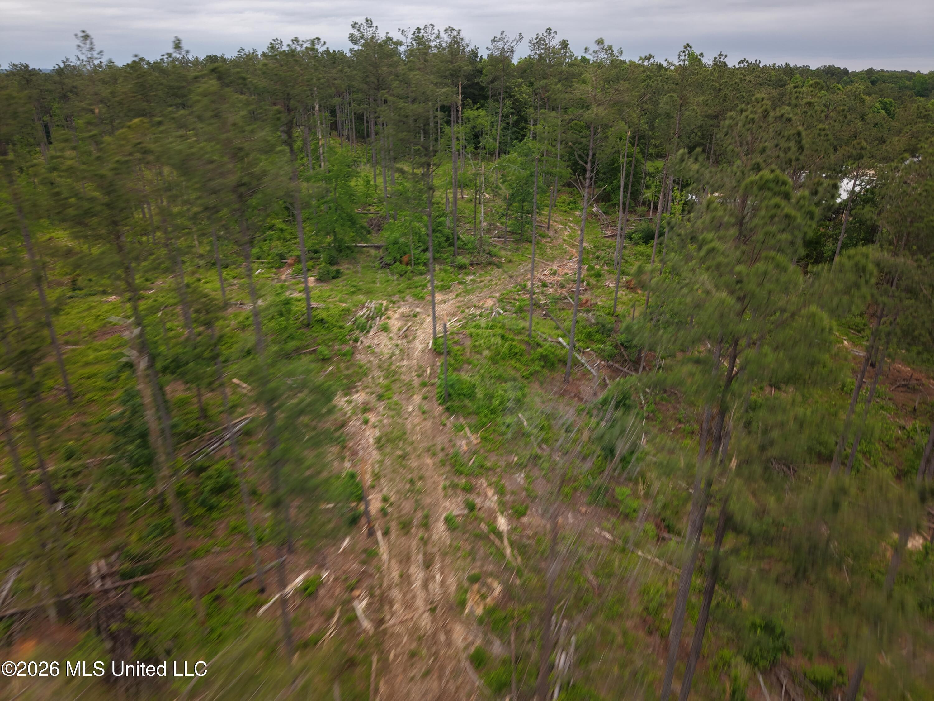Graysport Crossing Road Gore Springs, MS 38929 - Photo 16 of 16 dji_fly_20260505_112944_0208_17797570137
