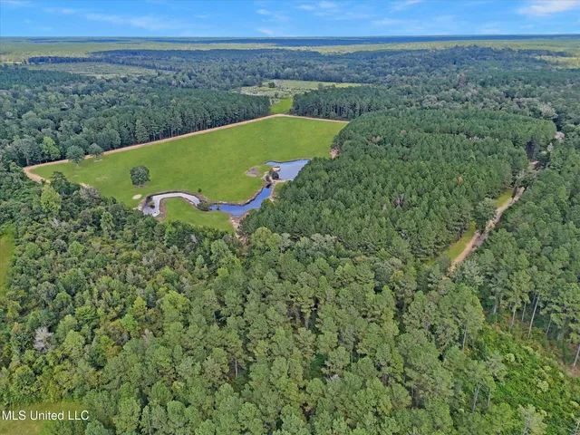 $300,000 | 869 Old Holmesville Road, Tylertown, MS 39667