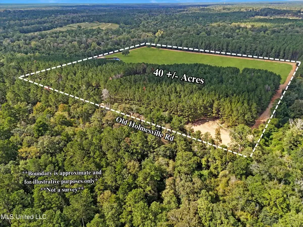 $280,000 | 869 Old Holmesville Road, Tylertown, MS 39667