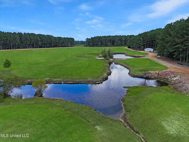 $300,000 | 869 Old Holmesville Road, Tylertown, MS 39667