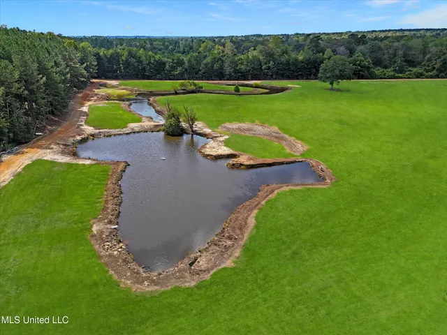 $300,000 | 869 Old Holmesville Road, Tylertown, MS 39667