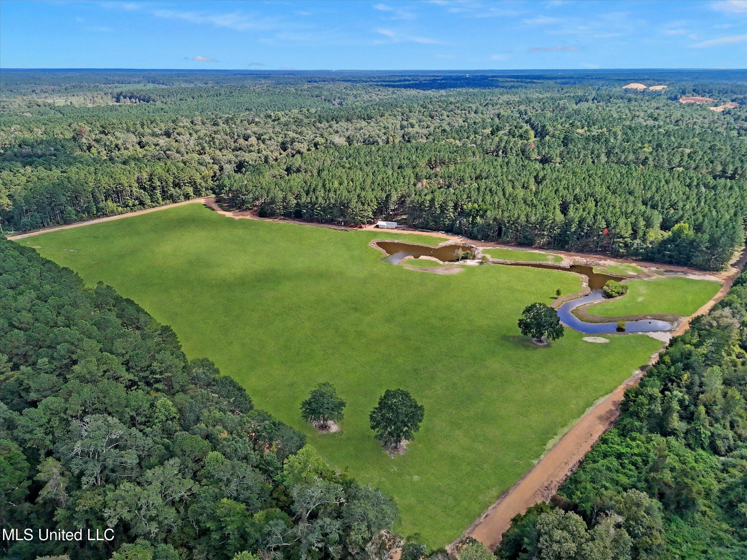 869 Old Holmesville Road Tylertown, MS 39667 - Photo 7 of 12 06-mls-06