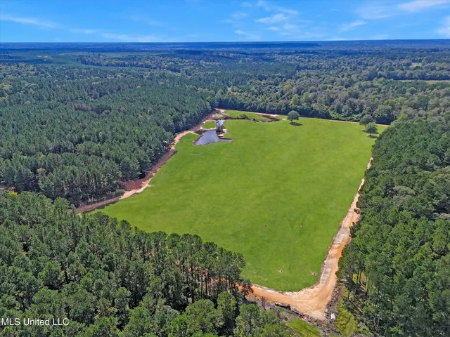 $300,000 | 869 Old Holmesville Road, Tylertown, MS 39667