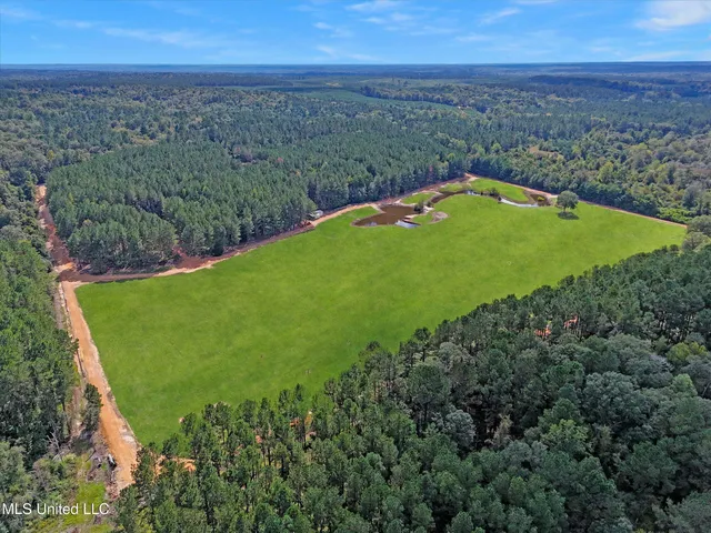 $300,000 | 869 Old Holmesville Road, Tylertown, MS 39667