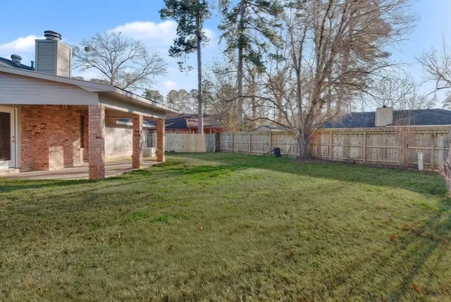 a view of a backyard with a large tree