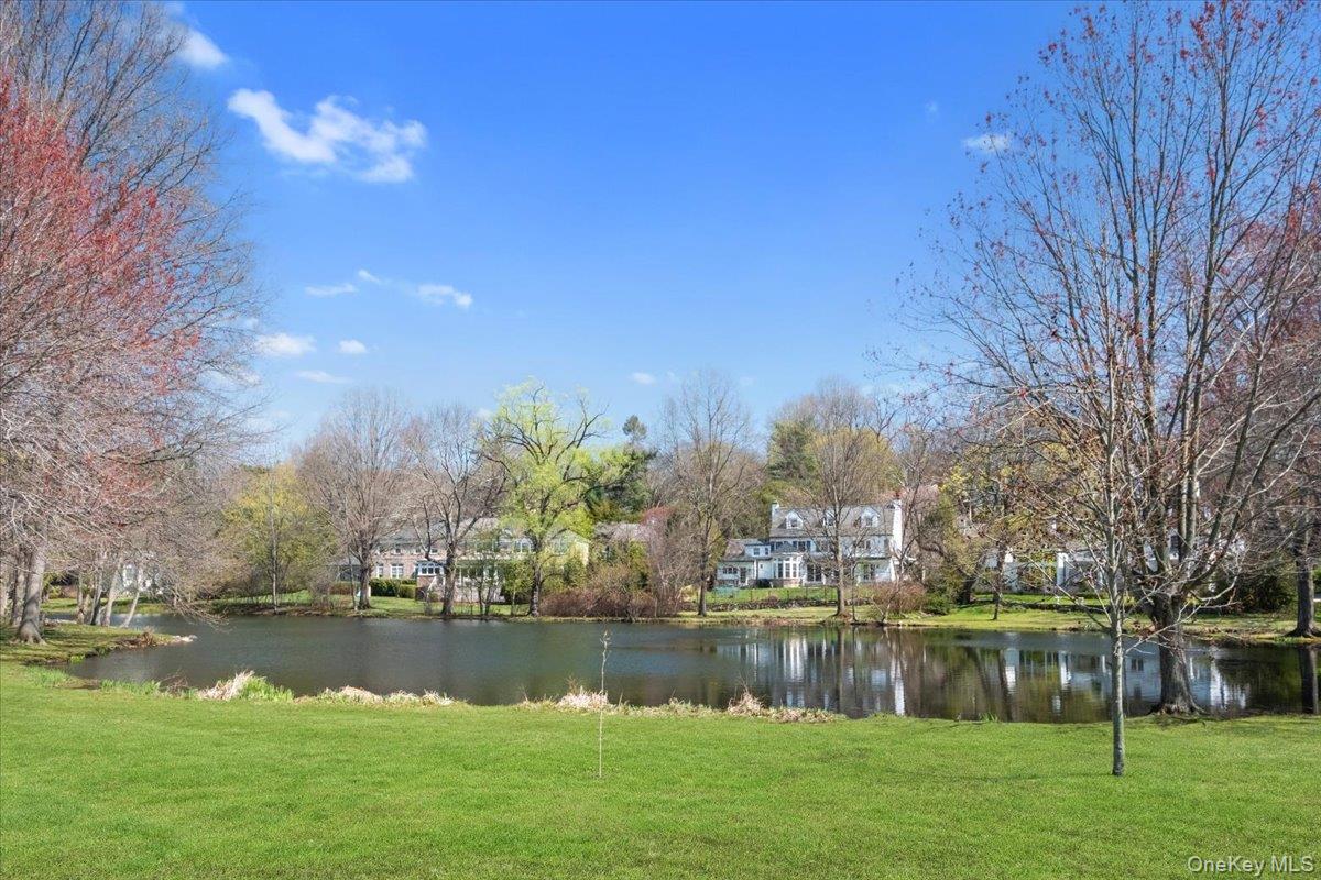 66 Lockwood Road Scarsdale, NY 10583 - Photo 11 of 47 Tranquil Crane Pond