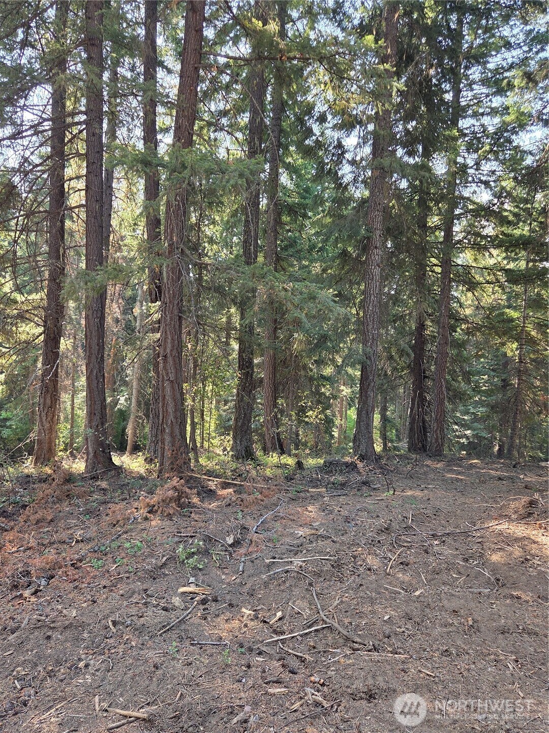 0 Bitterroot Ronald, WA 98940 - Photo 1 of 1 Gallery Image 1