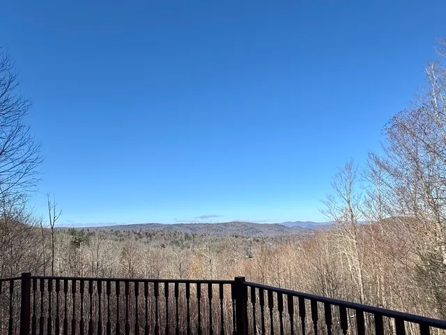 a view of a dry yard with trees