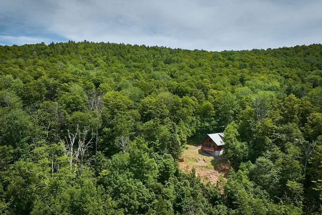 a view of a green field with lots of bushes