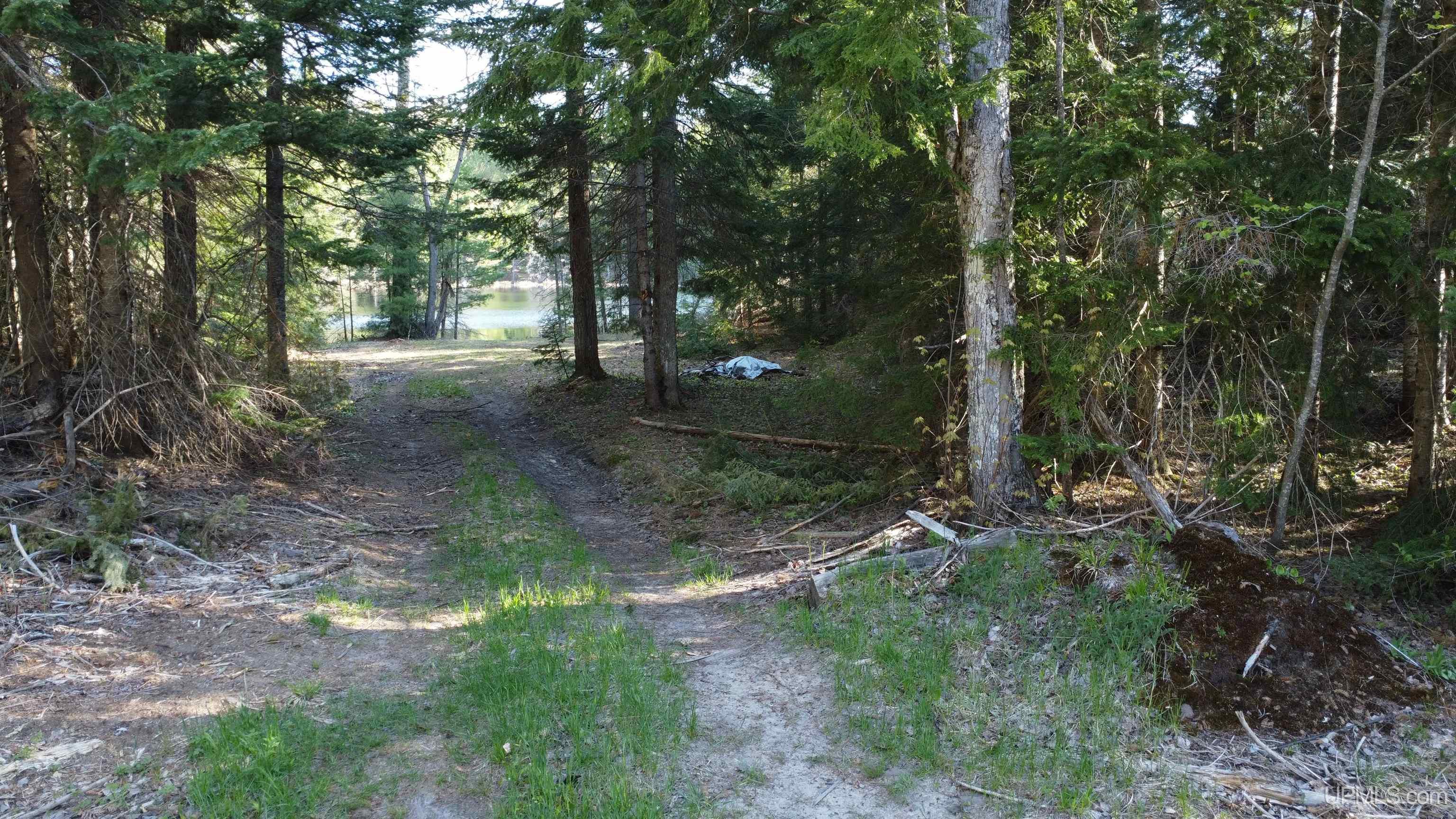 On Wolf Lake Road McMillan, MI 49853 - Photo 22 of 37