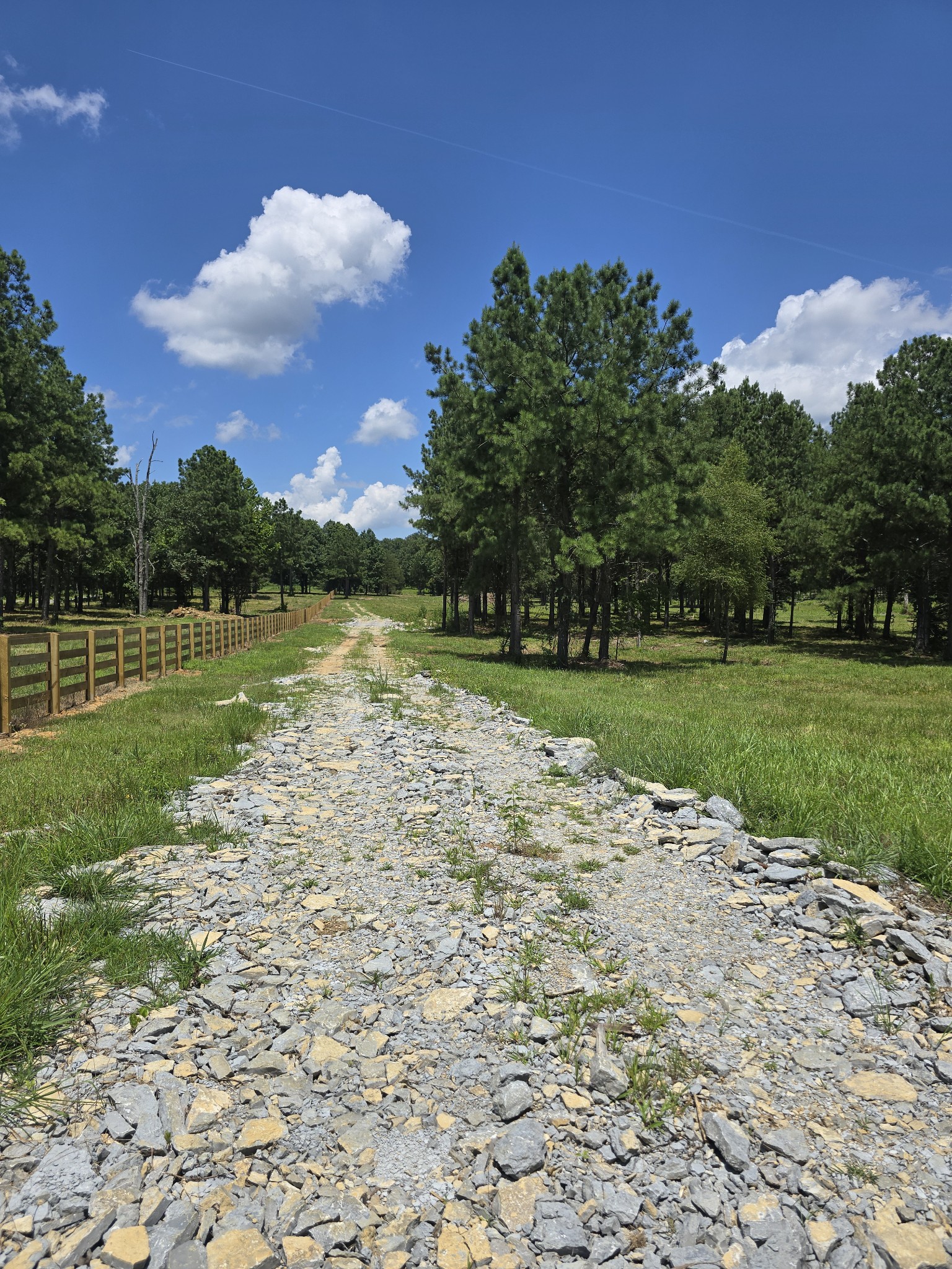 0 Kedron Road Spring Hill, TN 37174 - Photo 18 of 20 a view of a golf course with a lake