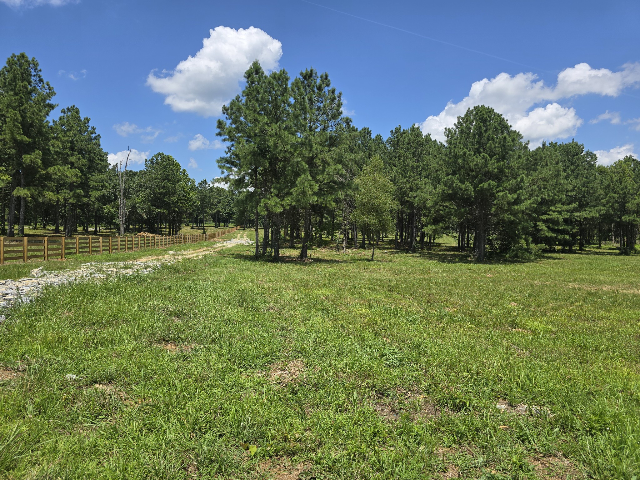 0 Kedron Road Spring Hill, TN 37174 - Photo 3 of 20 a view of outdoor space with deck and trees