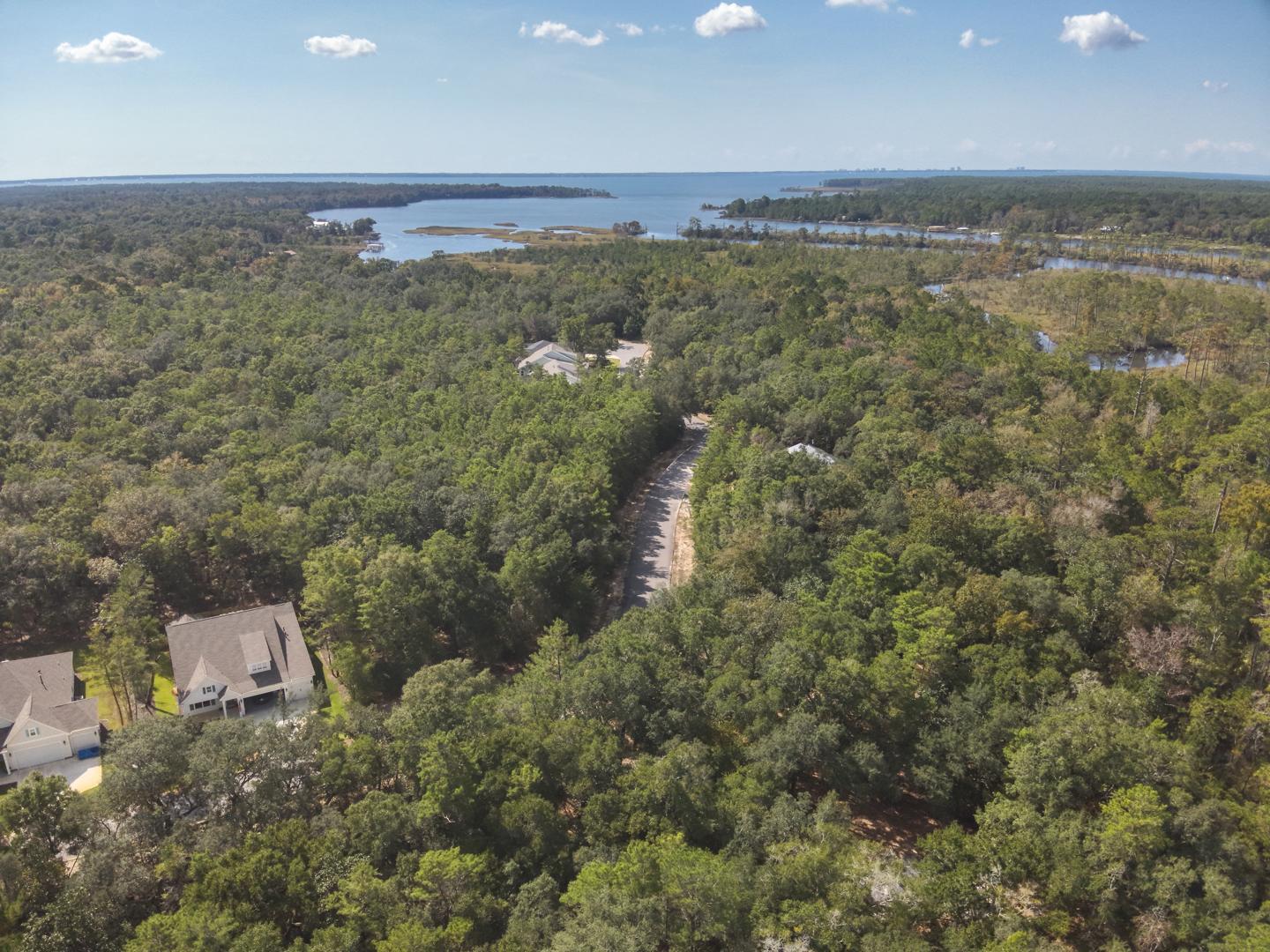 19 North J Hunter's Way, Unit LOT 22 Freeport, FL 32439 - Photo 43 of 48 an aerial view of a houses with a yard
