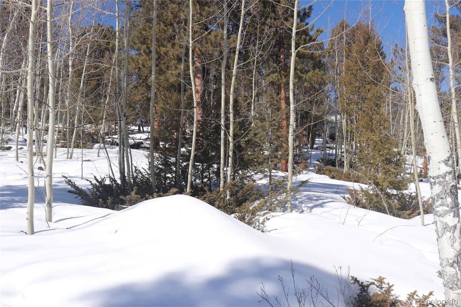1714 Blacksmith Road Hartsel, CO 80449 - Photo 13 of 13