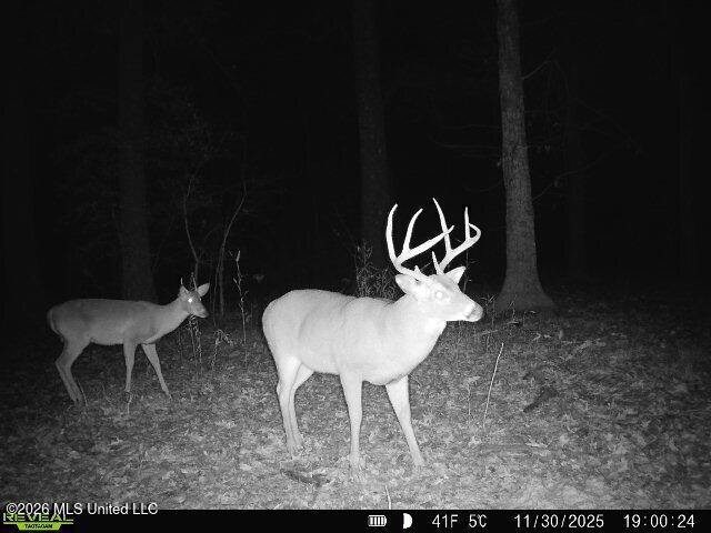 1 Highway 3 Lambert, MS 38643 - Photo 79 of 102 A9EE0969-0F2C-4E02-A8E9-D4BF642284CB