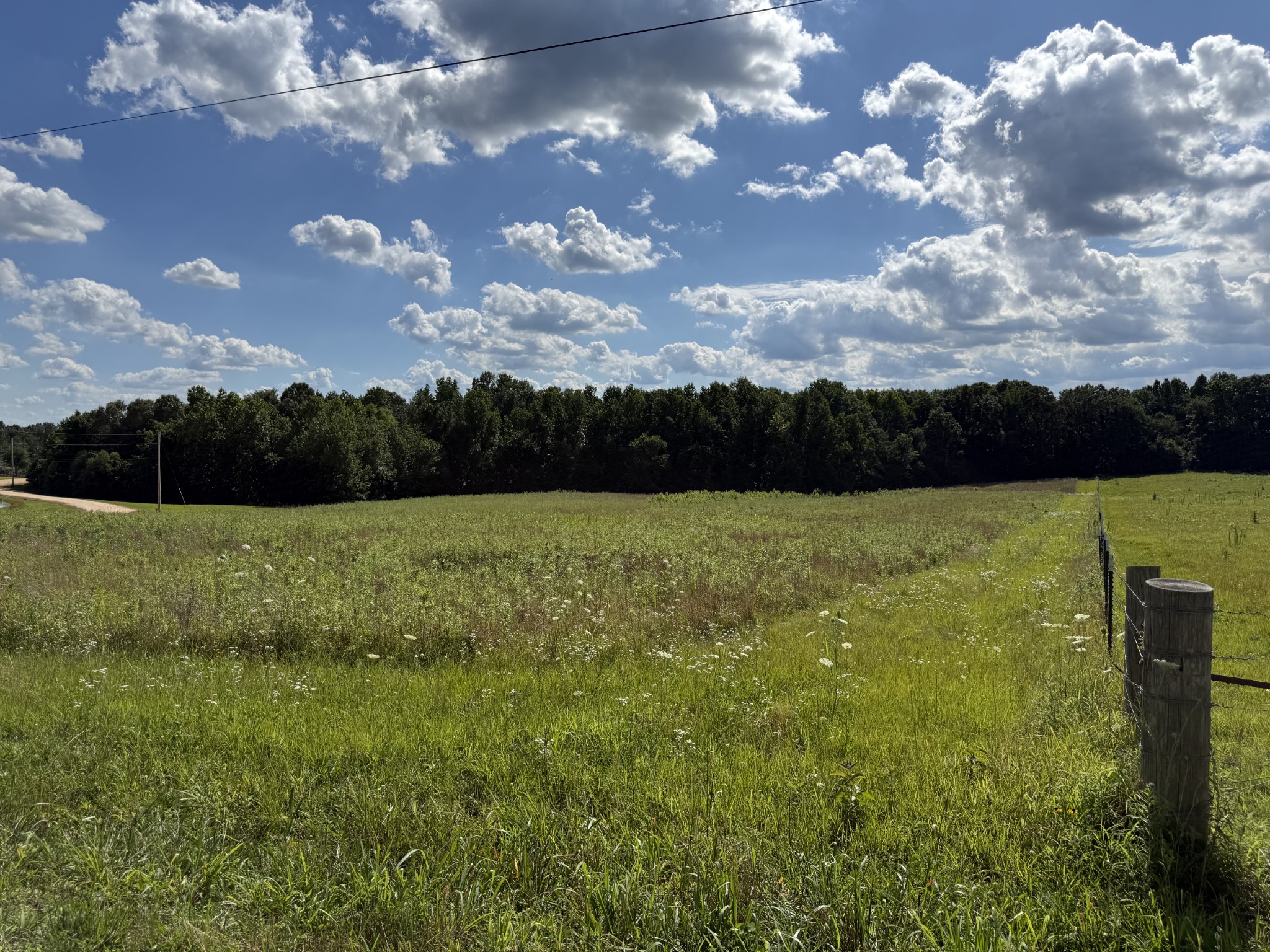 2333 Shady Grove Road McKenzie, TN 38201 - Photo 62 of 72