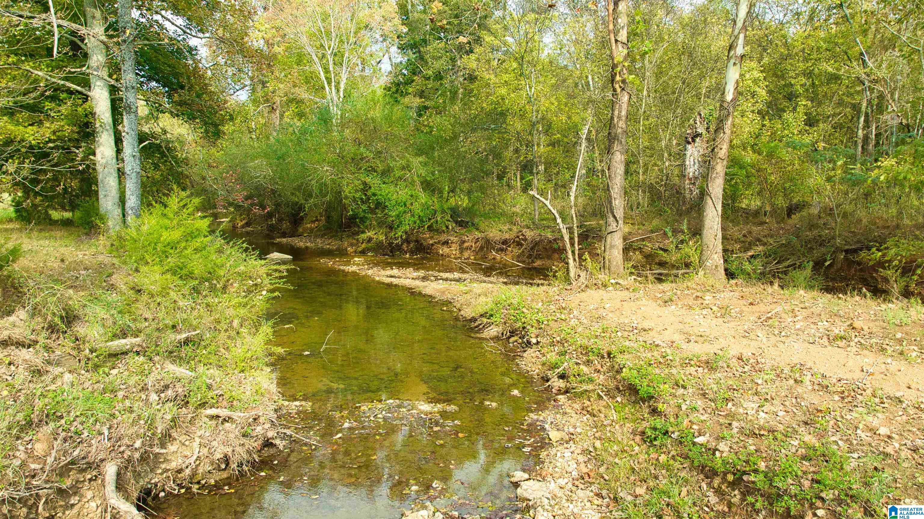 0 South Love Branch Road Toney, AL 35773 - Photo 7 of 26