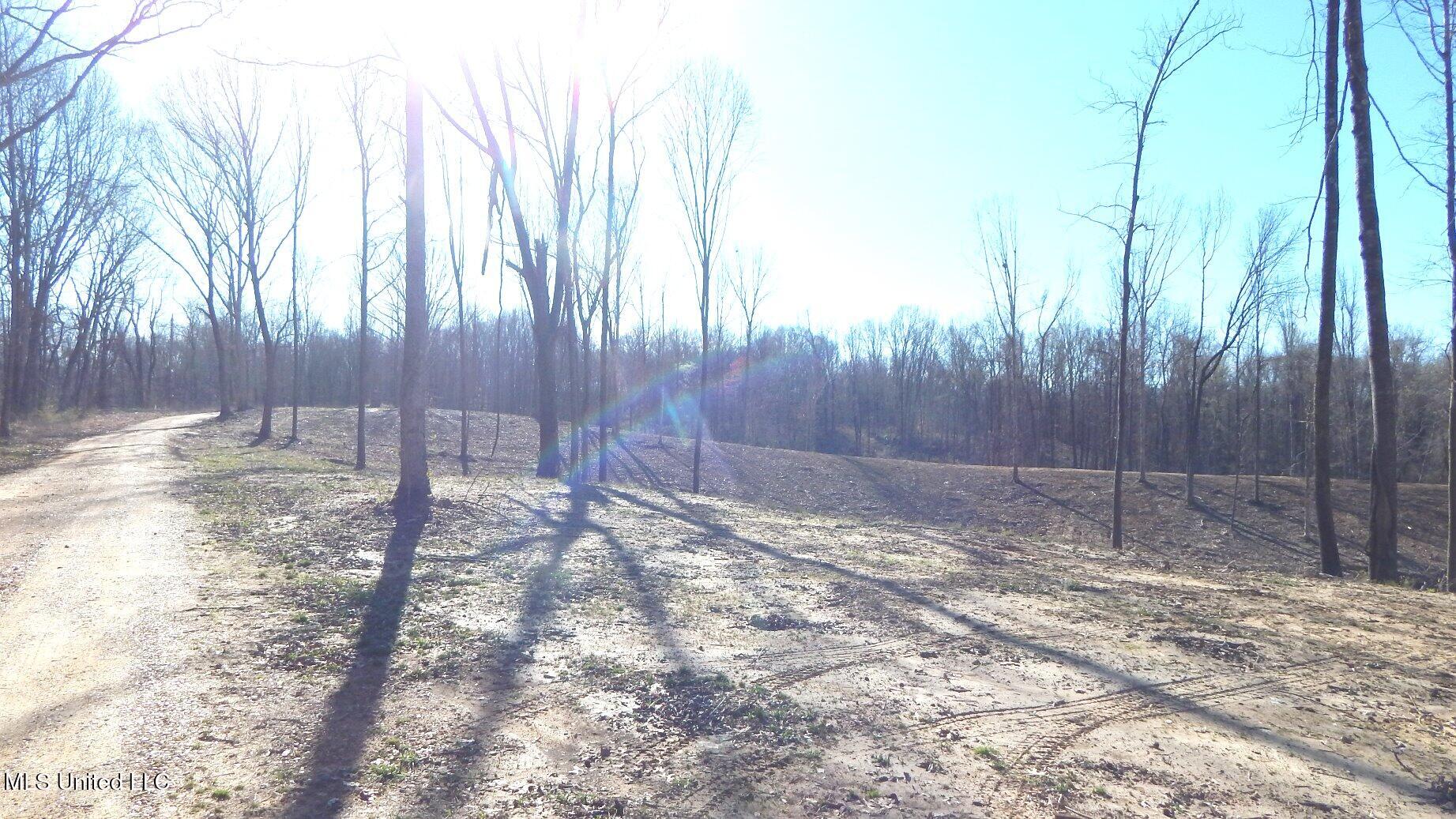 4577 Bluff Road Hernando, MS 38632 - Photo 39 of 57 DSCN6731