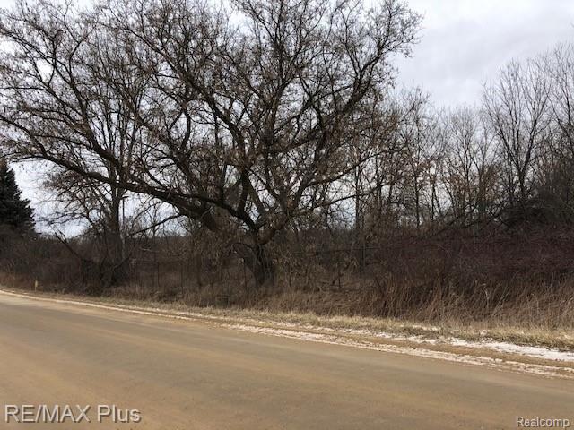 0 South Summers Road Imlay City, MI 48444 - Photo 4 of 5 VL S. Summers - 3