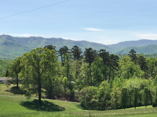 650 Rock Hill Road Newport, TN 37821 - Photo 2 of 10 IMG_8076