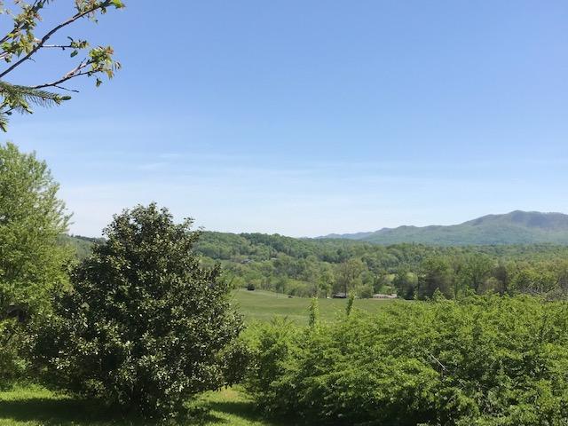 650 Rock Hill Road Newport, TN 37821 - Photo 10 of 10 IMG_8049