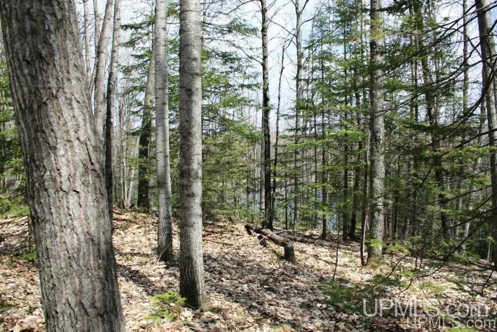 Tbd Stateline Lake Road Marenisco, MI 49947 - Photo 4 of 17