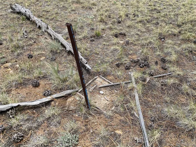 a view of a wooden floor and a yard in the back