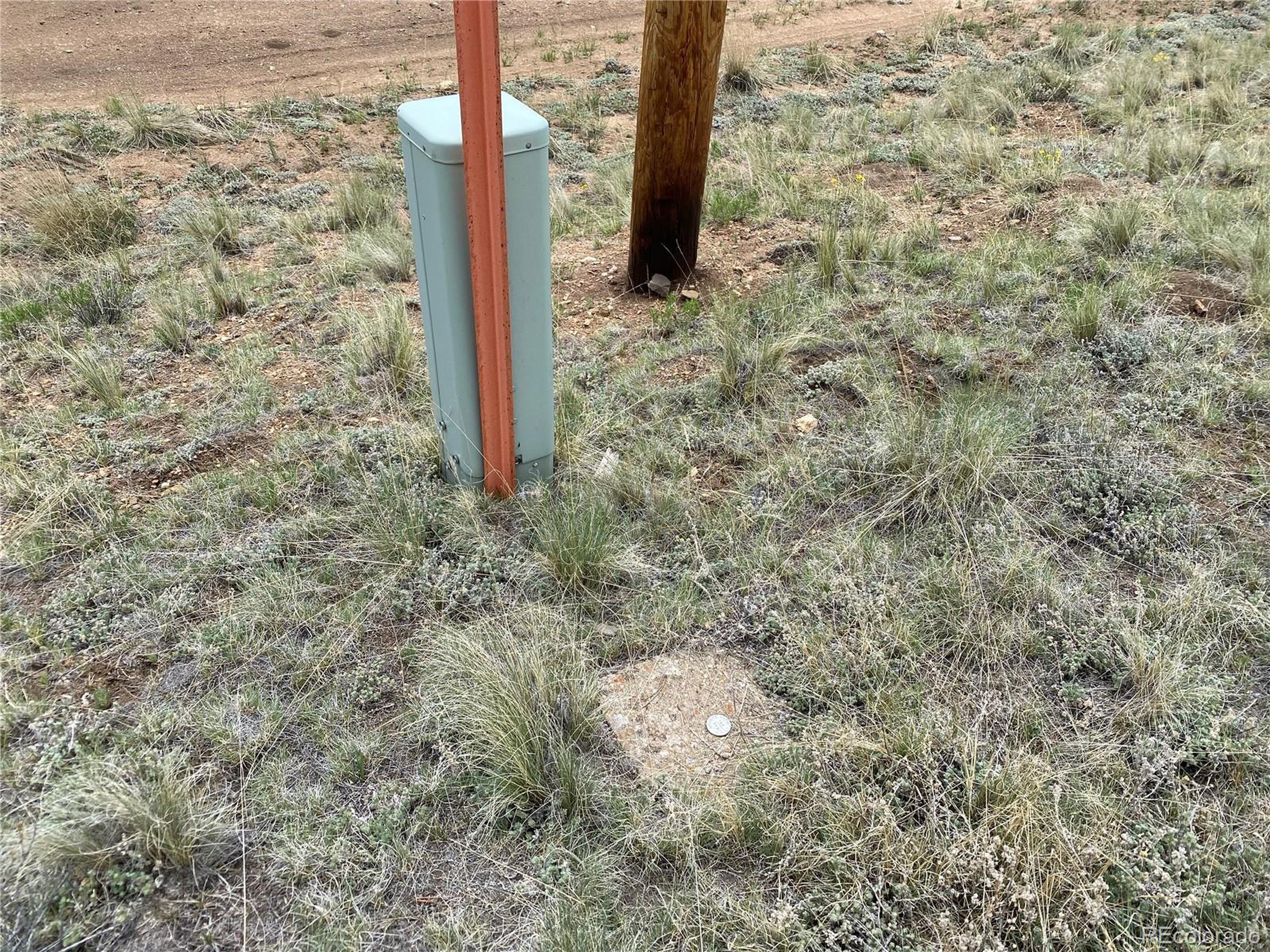 0 Al Gulch Road Jefferson, CO 80456 - Photo 13 of 16 a close up of a tree