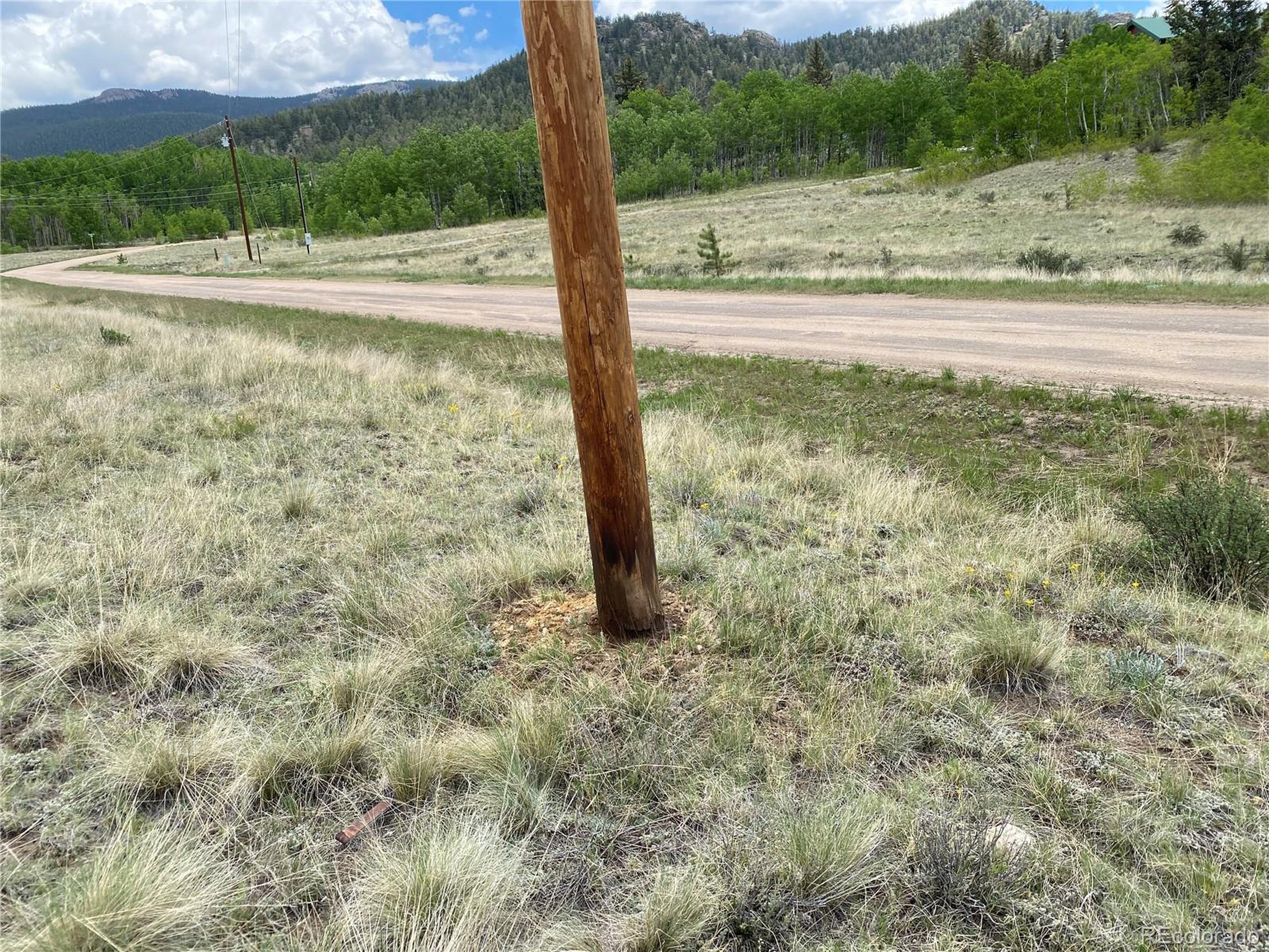 0 Al Gulch Road Jefferson, CO 80456 - Photo 14 of 16 a view of a wooden floor and a yard in the back