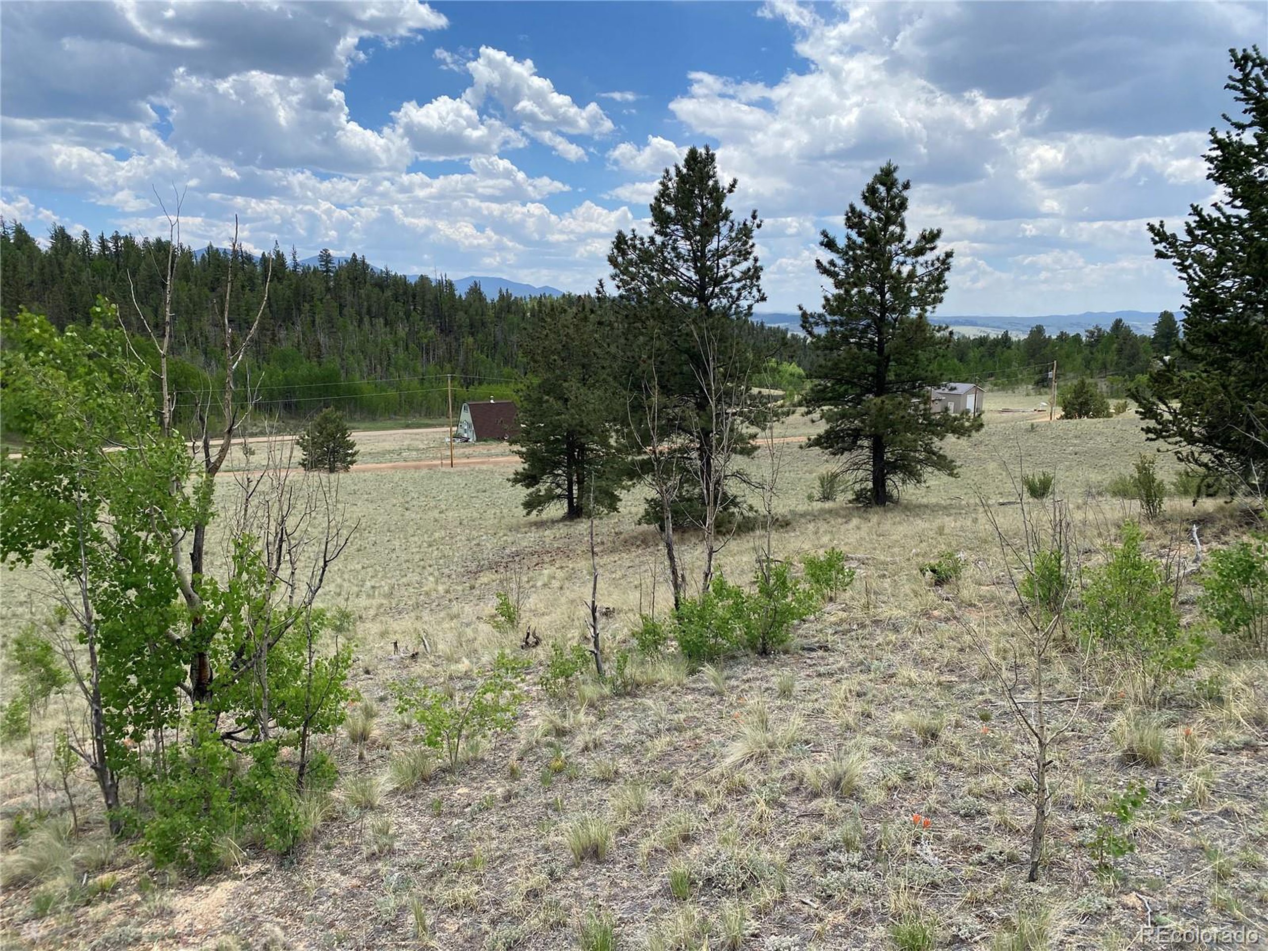 0 Al Gulch Road Jefferson, CO 80456 - Photo 5 of 16